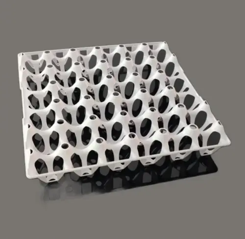 Porta Ovos Plástico Tipo Cartela Para 30 Ovos Branco 478BR - Bolivar - BOL 105